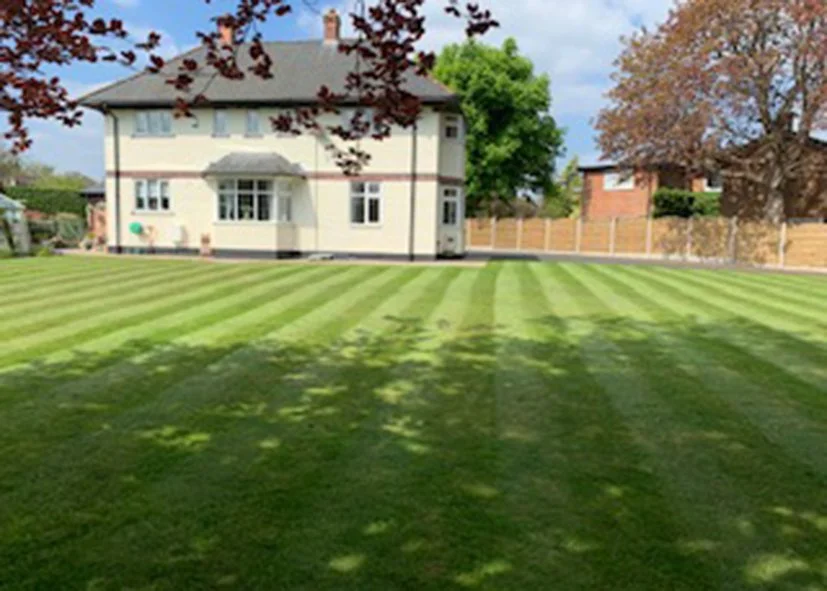 A large, well-maintained backyard with freshly mowed grass, a two-story house, trees, and a wooden fence in the background.