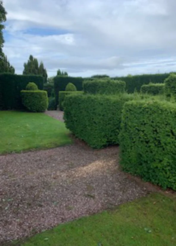 A garden with neatly trimmed hedges and bushes, with a gravel pathway and a cloudy sky overhead.
