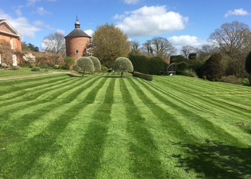 Well-maintained lawn with striped grass, trees, and a brick tower in the background.