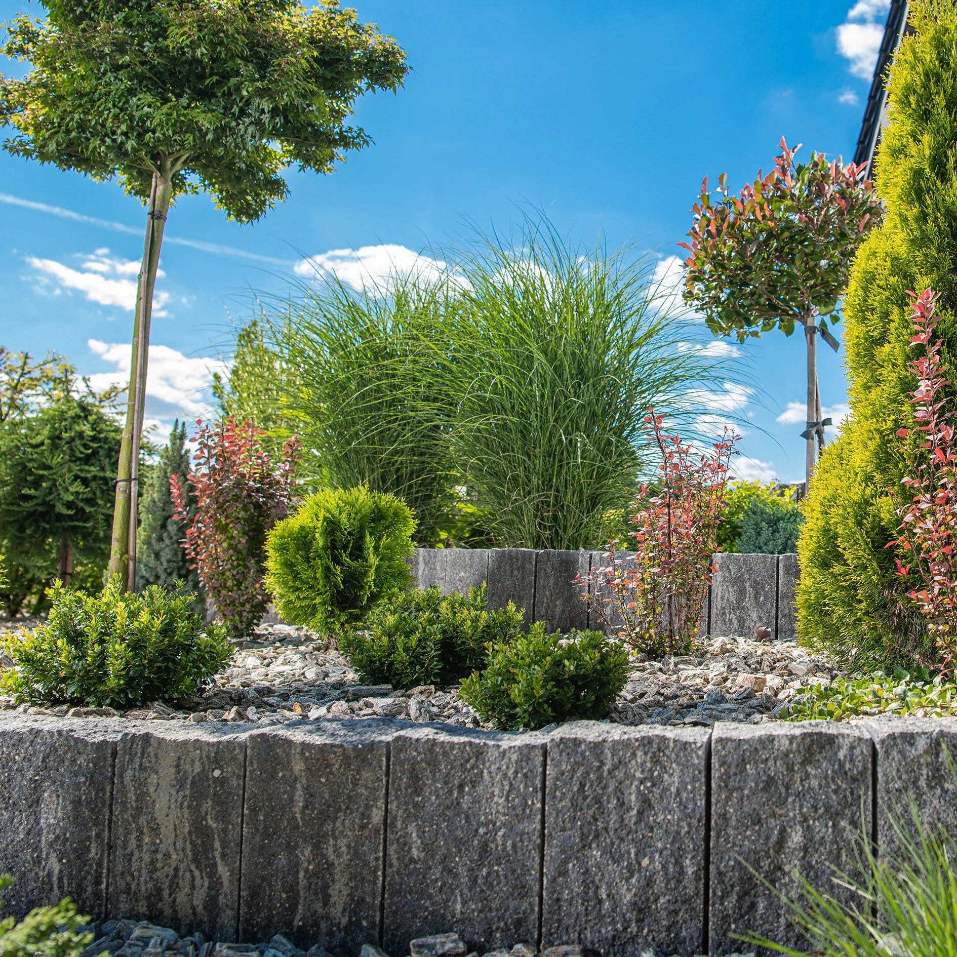 A landscaped garden bed with various green plants and shrubs, bordered by dark gray stones, under a bright blue sky with some clouds.