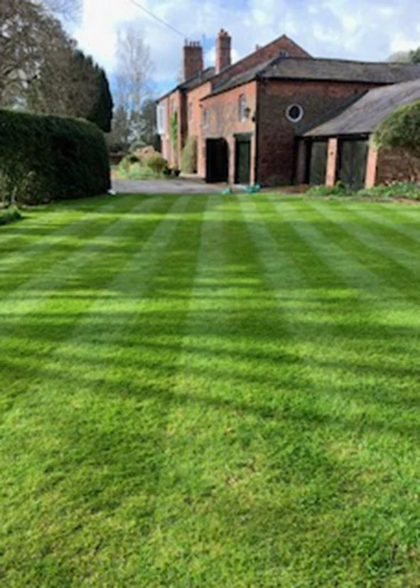 Green lawn with stripes in front of a brick house.