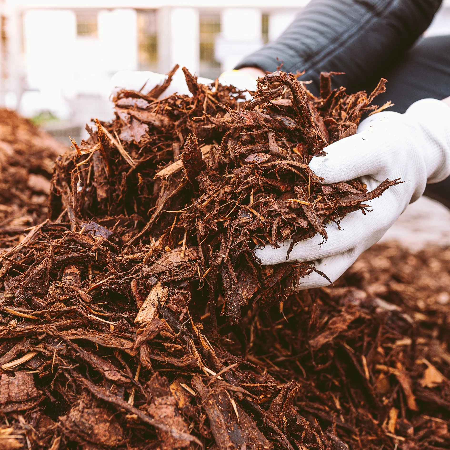 Person wearing white gloves handling a pile of compost.