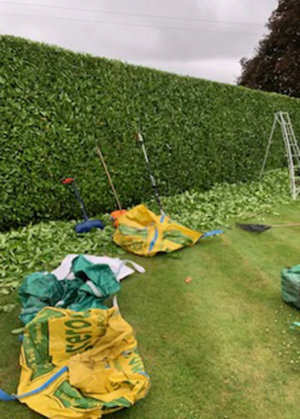 Garden with tools and yard waste bags, a hedge in the background, and a lawn mower on the right side.