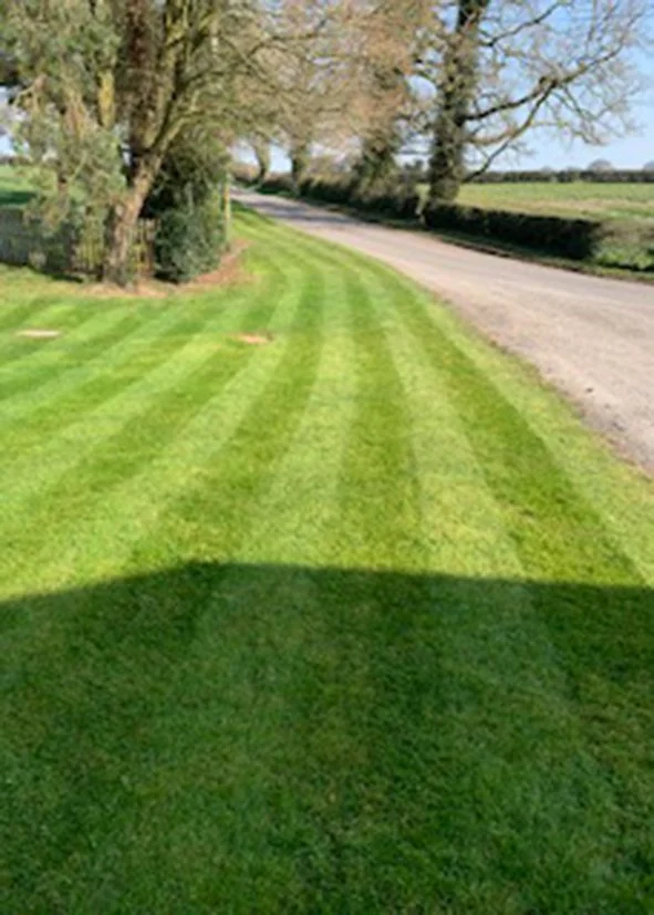 A lush green lawn with striped mowing pattern next to a gravel road, with trees lining the area and a hedge running parallel to the road.
