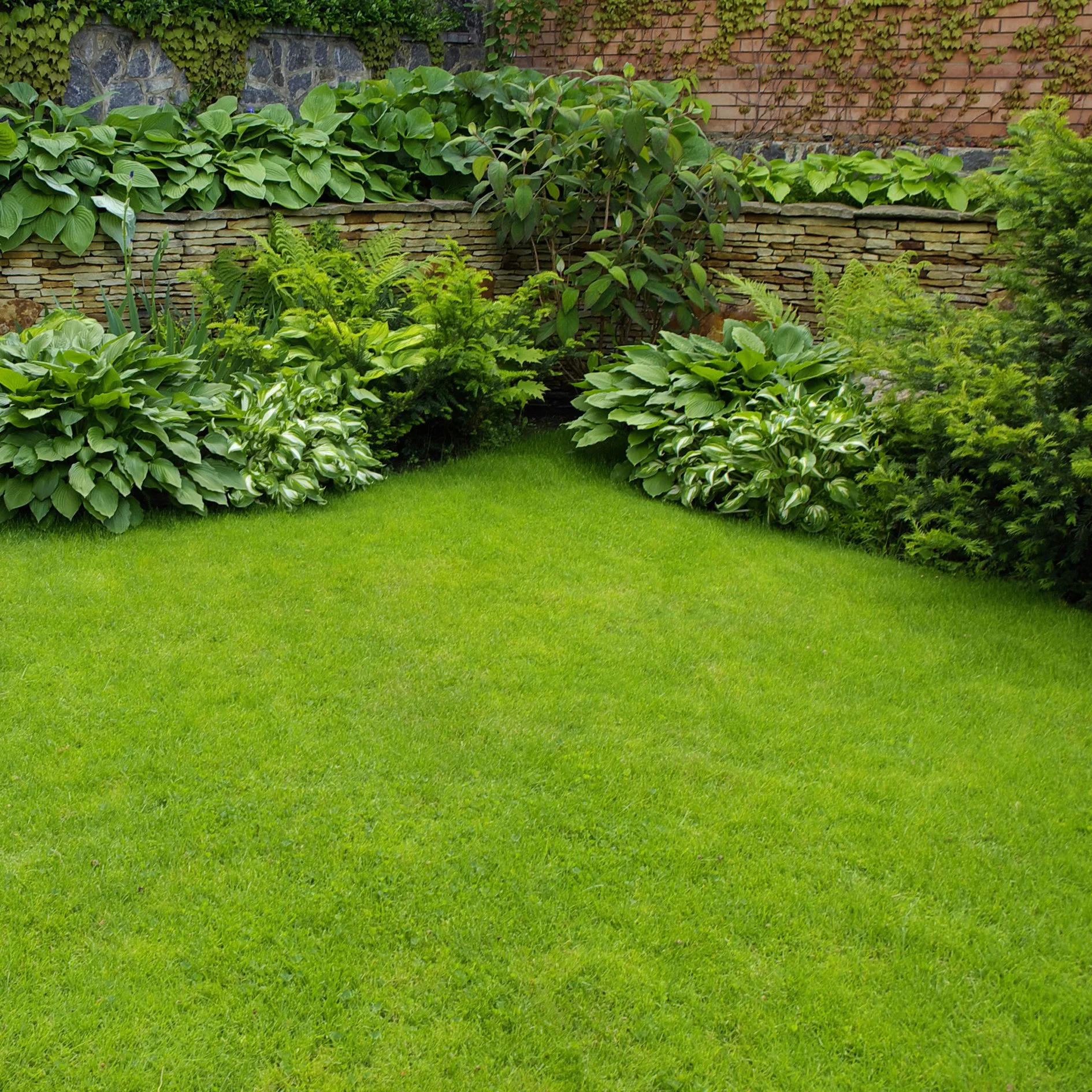 Lush green garden with a well-manicured lawn, surrounded by various bushes, shrubs, and a stone and brick wall in the background.