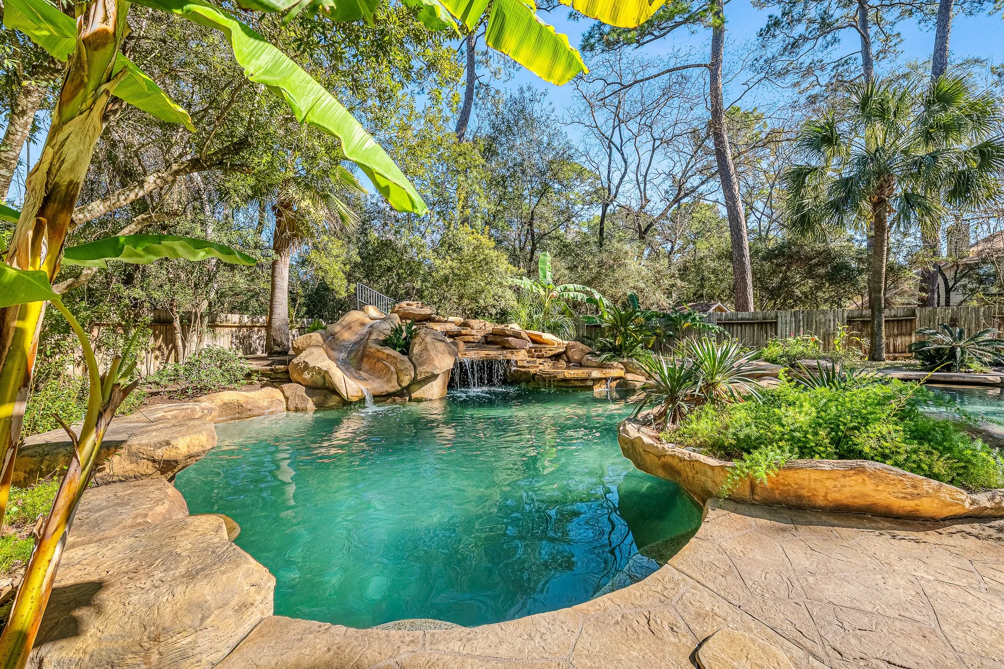 A backyard with a landscaped swimming pool, surrounded by rocks, lush greenery, and tall trees with clear blue sky overhead.