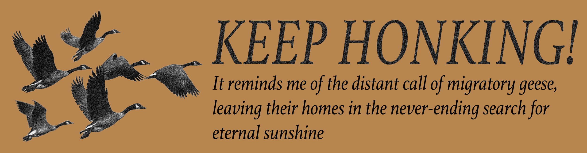 Keep Honking(1).png