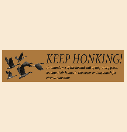 ETERNAL SUNSHINE Bumper Sticker