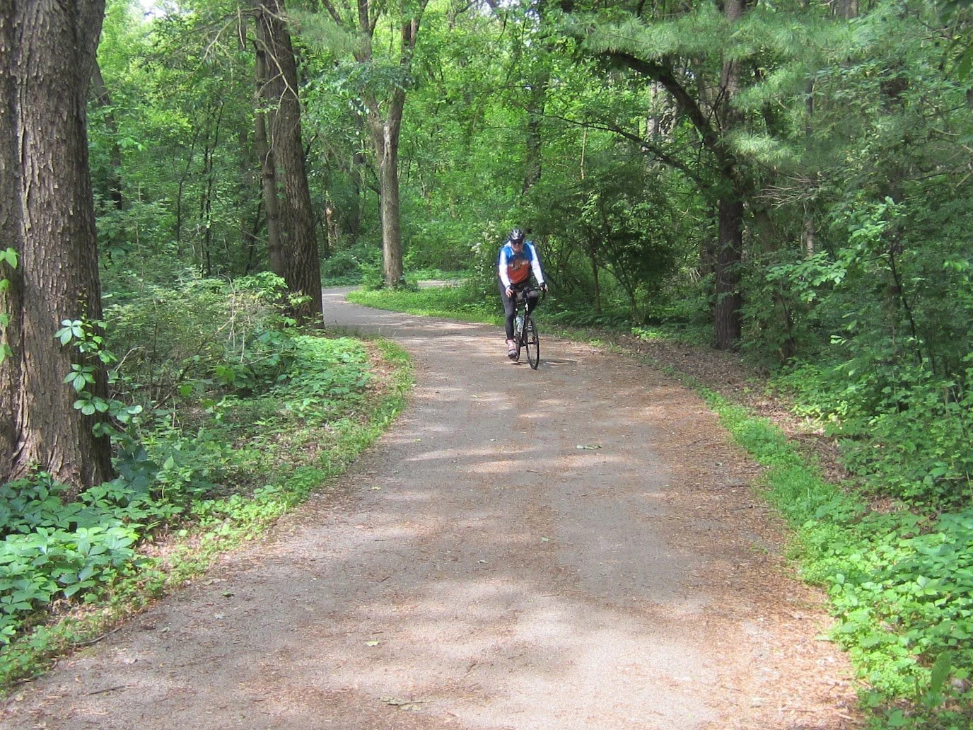 Image of single man biking on an empty winding trail with several trees along the path.