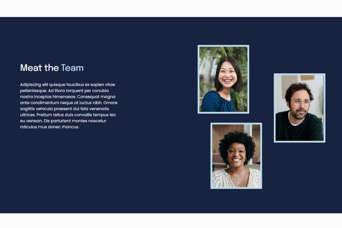 Meet The Team Section