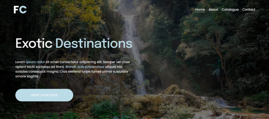 Froth Company Home Page's Hero's Section