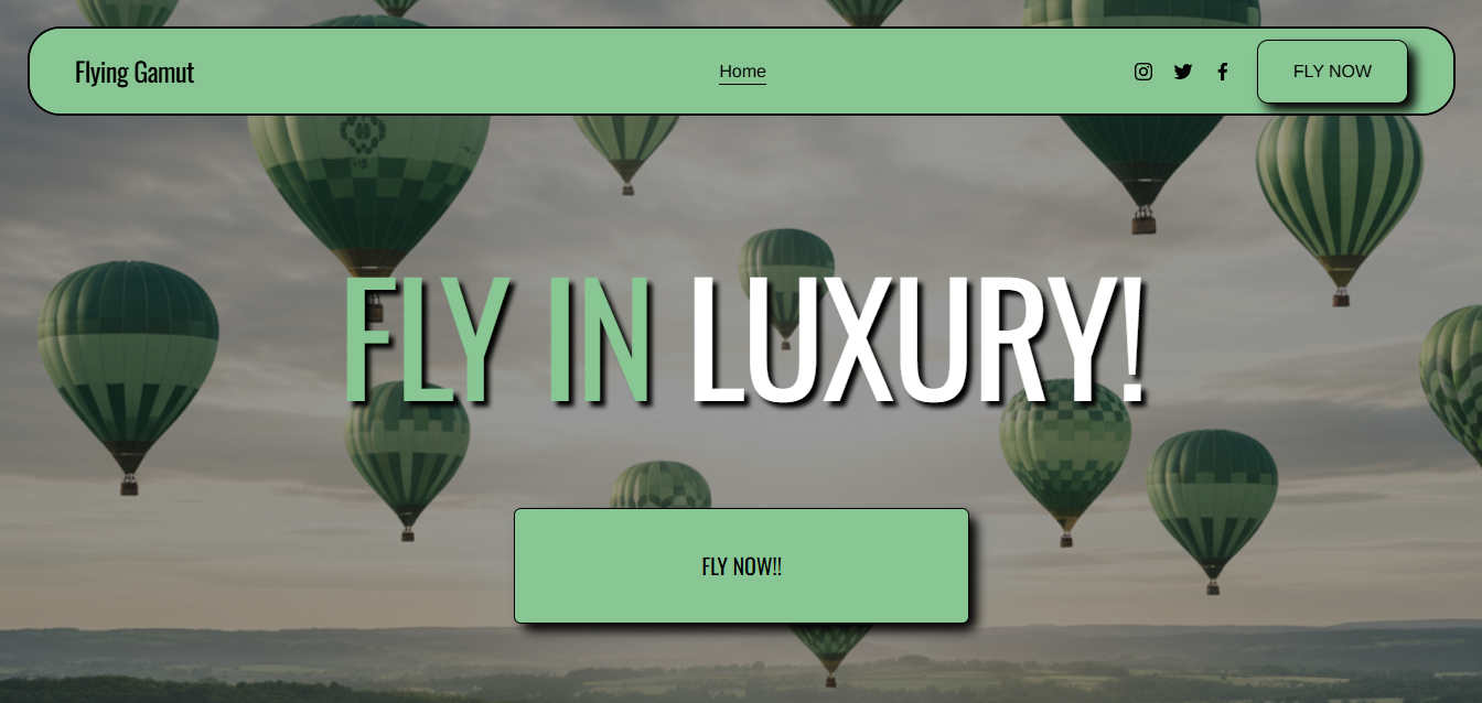 Flying Gamut Home Page's Hero's Section