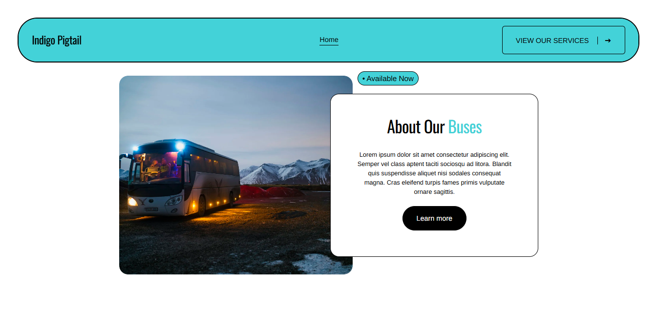 About Our Buses Section