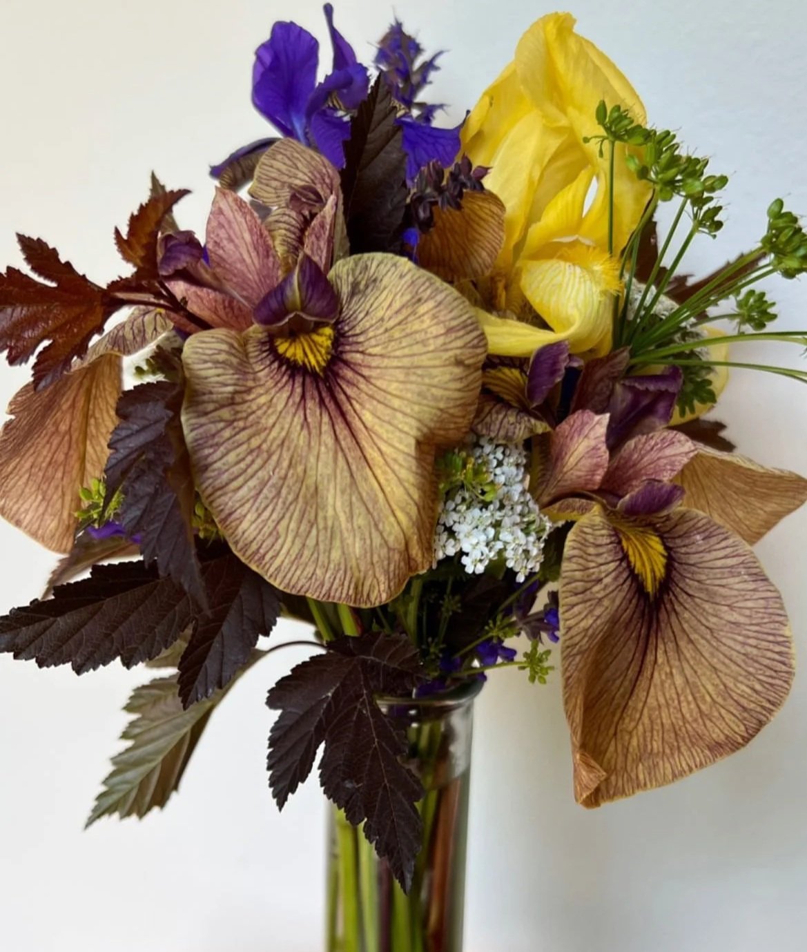 A bouquet of dried flowers including purple, yellow, and white blooms with dark purple leaves in a glass vase.