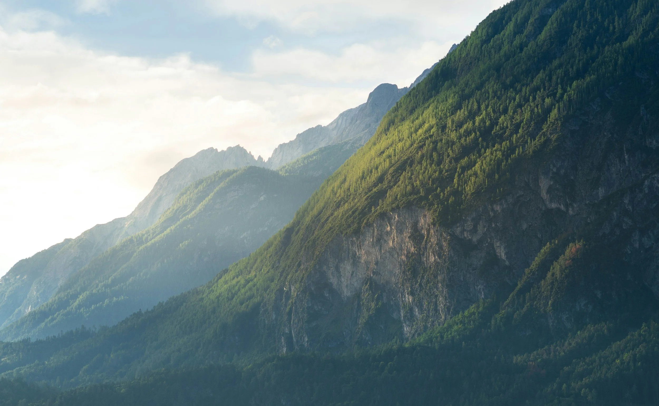 Towering mountains covered in evergreen trees, representing steadiness, grounding, and resilience during emotional growth and therapeutic change.