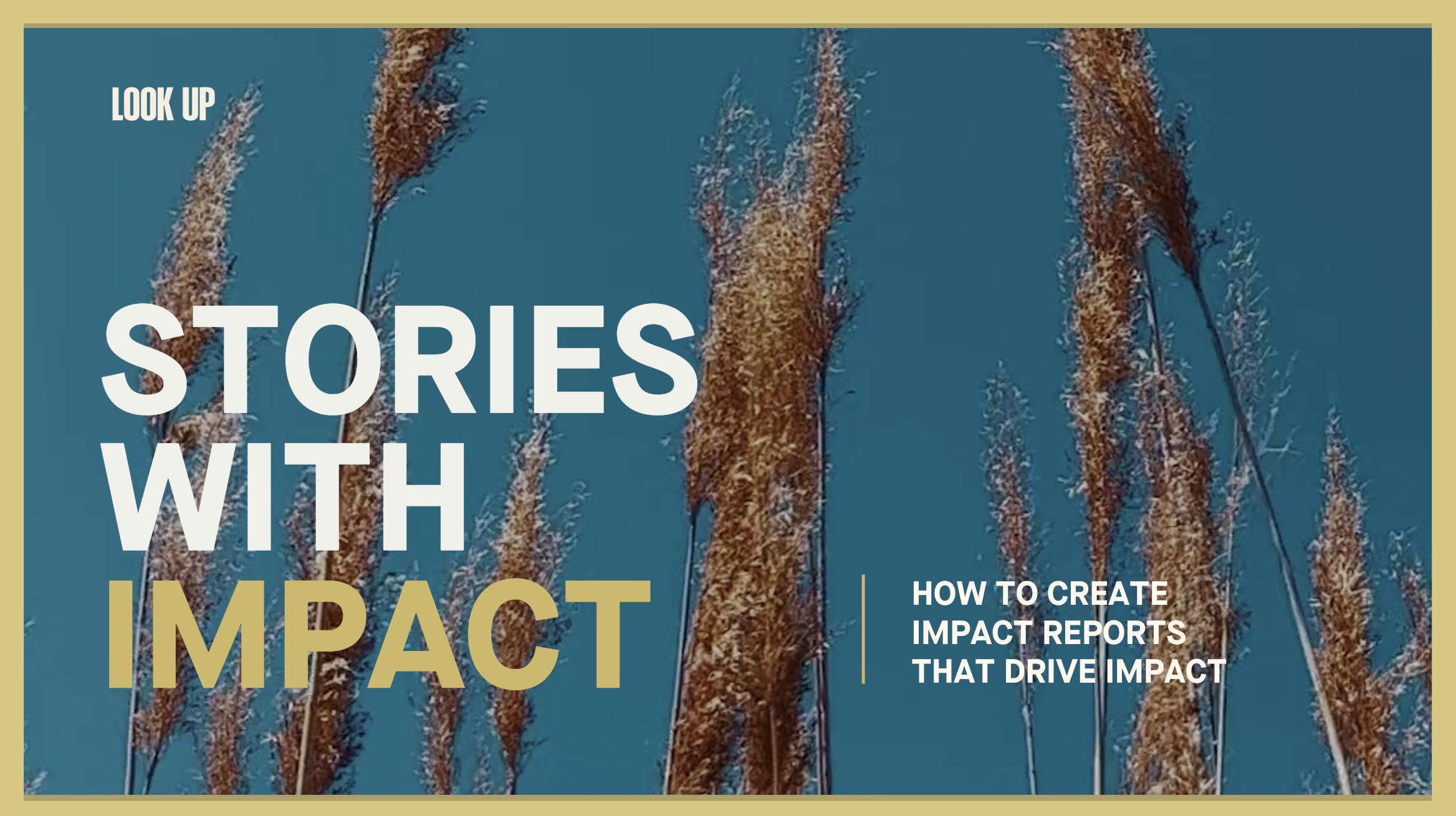 Stories with Impact Report