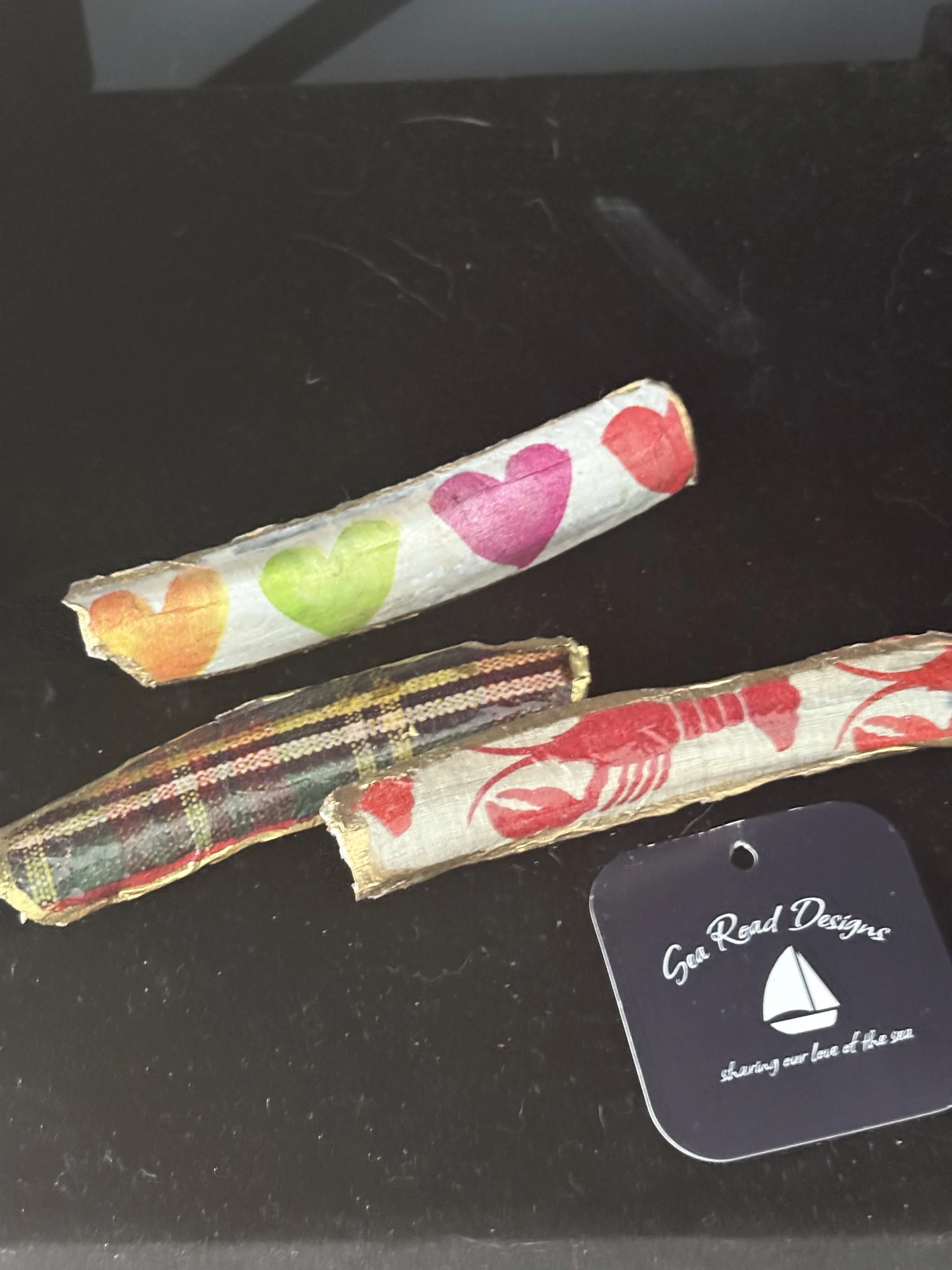 Coastal Chic Razor Shell Barrettes