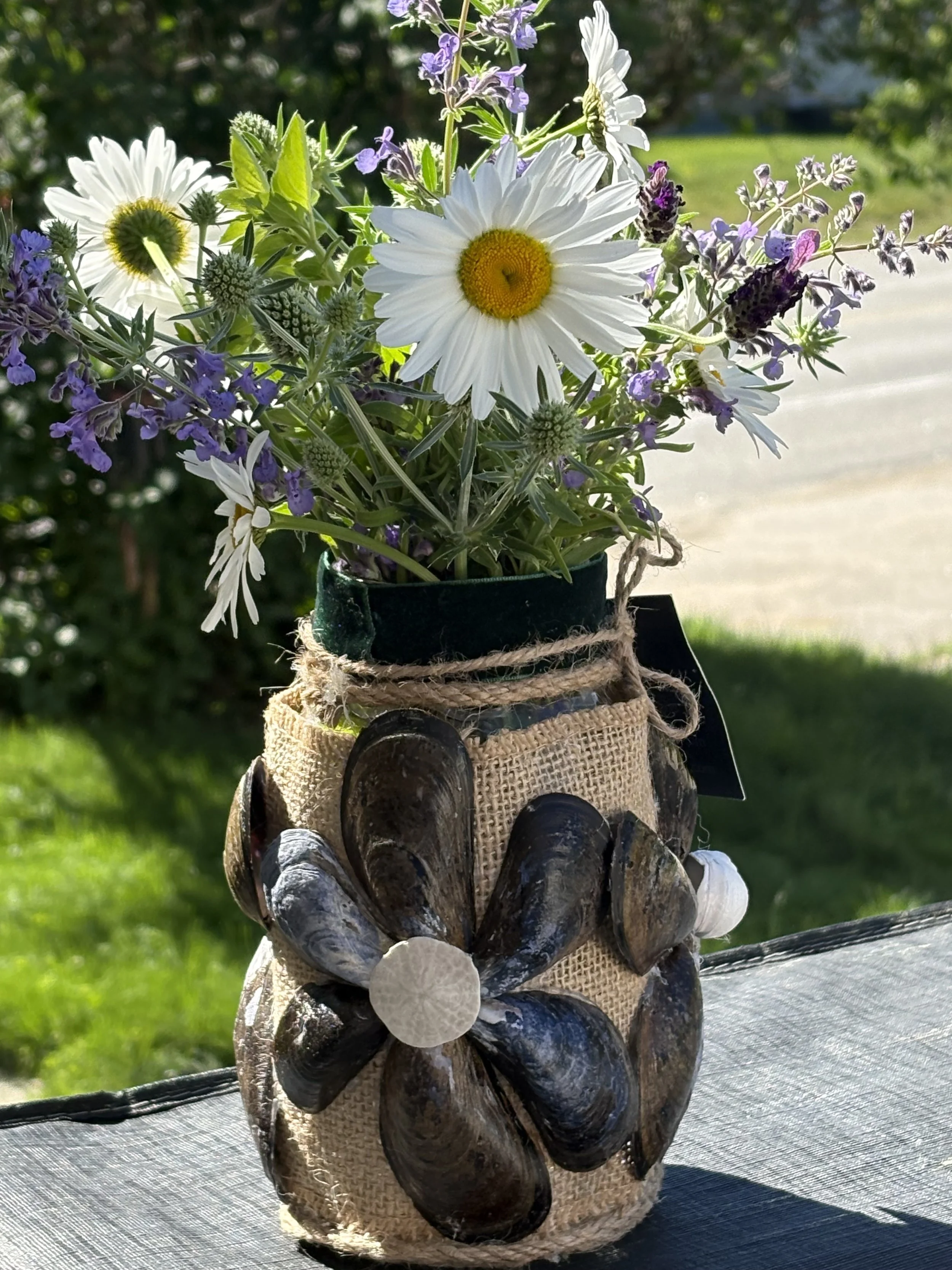 Shell Vases