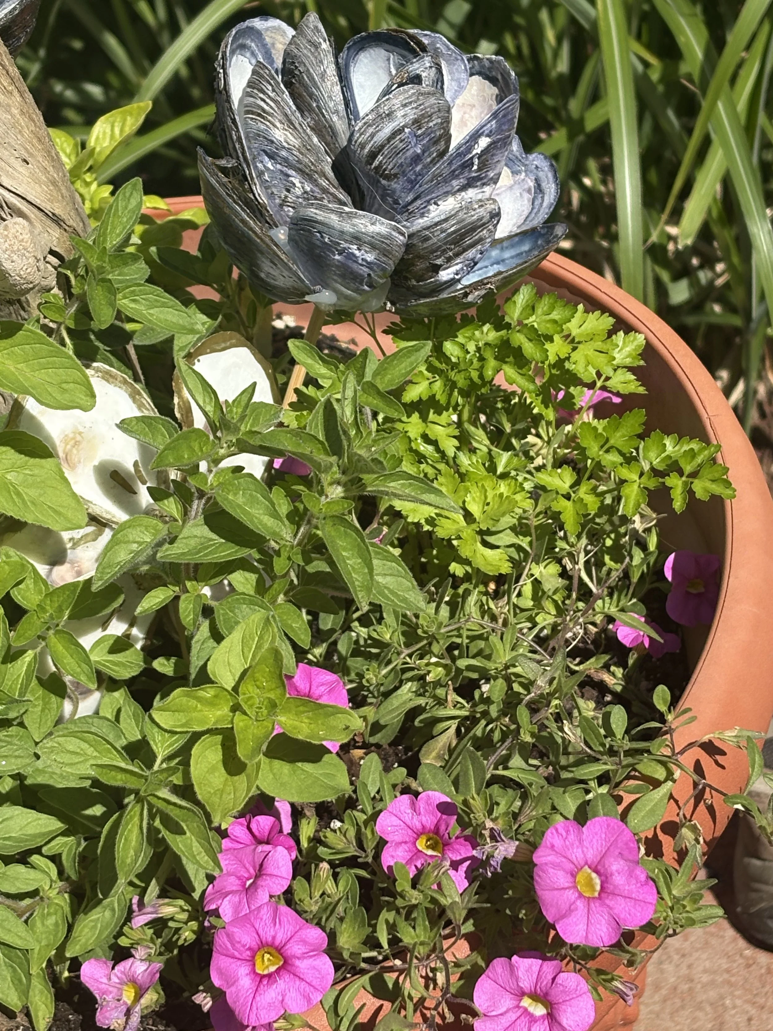 IMG_7414.jpeg