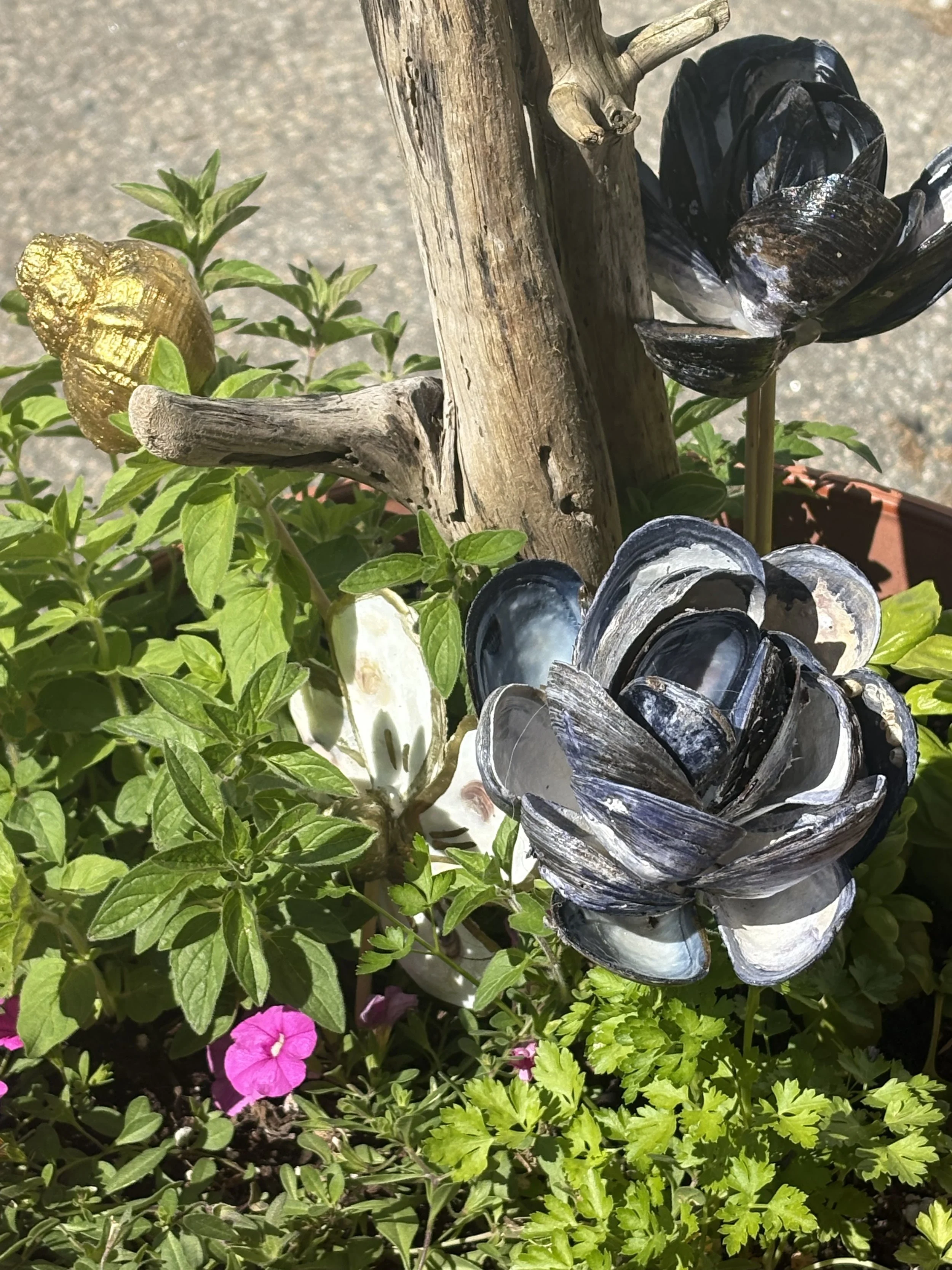 IMG_7412.jpeg