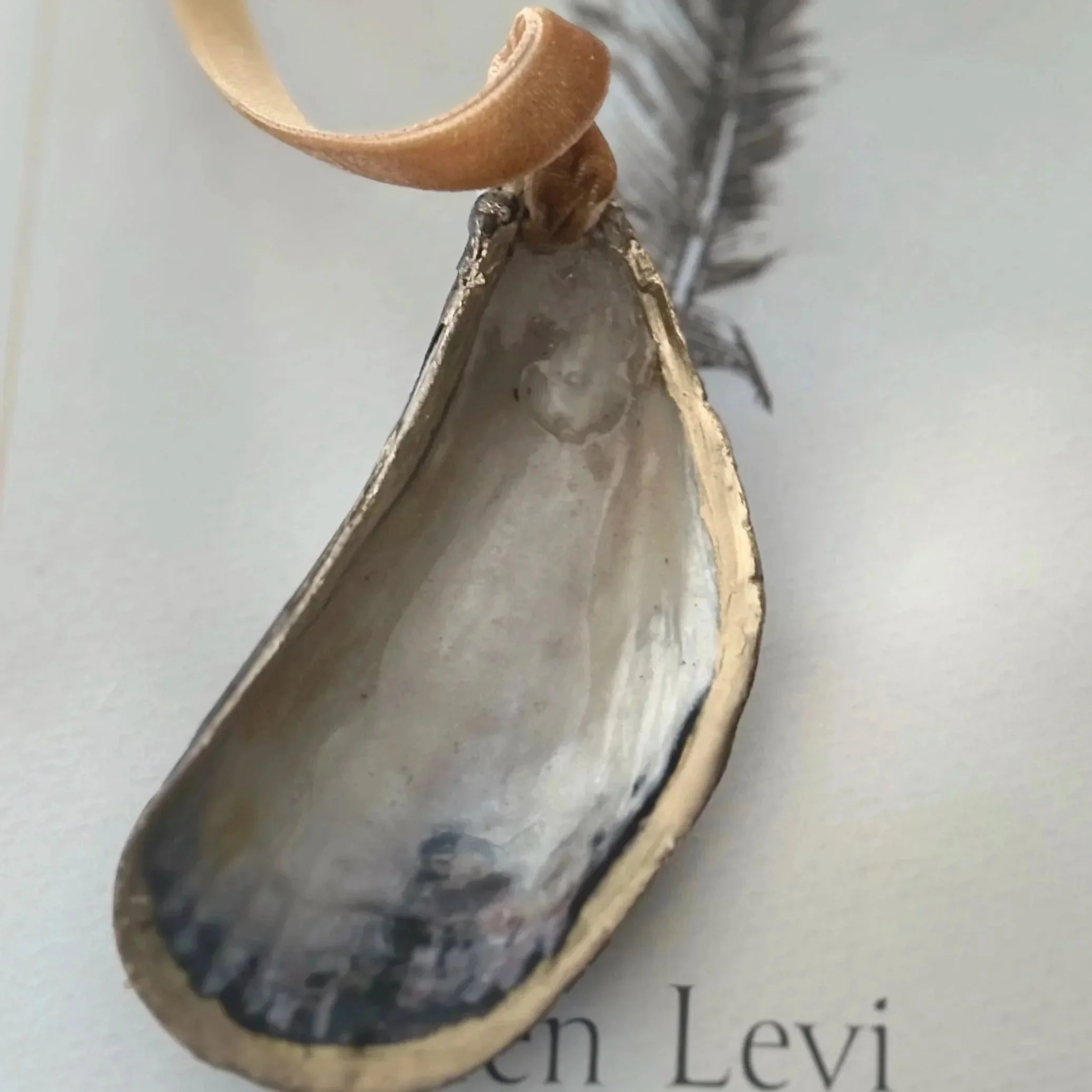 Mussel shell bookmarks