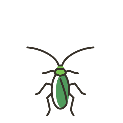 Illustration of a green and black insect, possibly a beetle, with antennae and six legs.