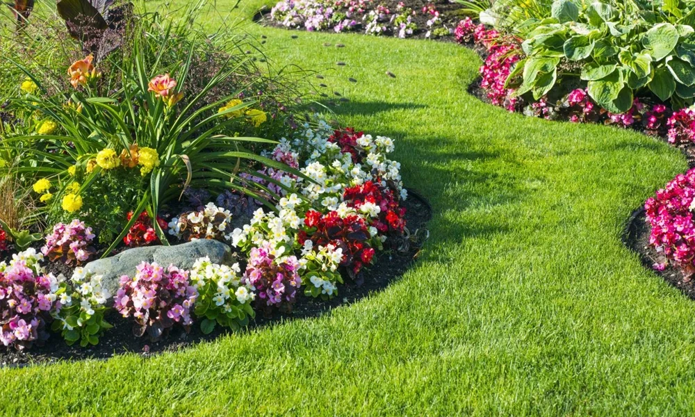 Colorful flower bed with pink, white, red, and yellow flowers alongside a well-maintained green grass pathway in a garden.