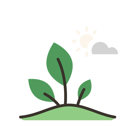 A simple illustration of a small plant with three green leaves growing from the ground, with a sun and a partial cloud in the sky.