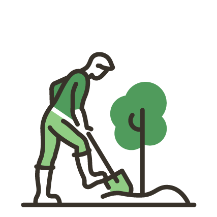 Person planting a small tree outdoors.