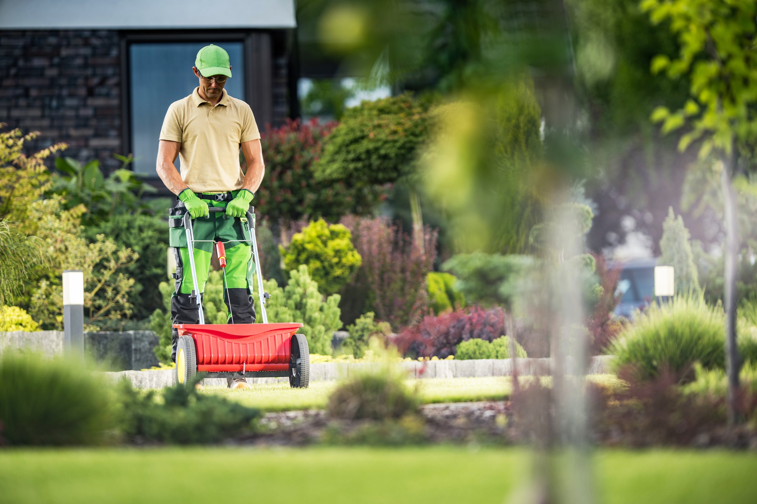 A man wearing a beige shirt, green cap, and green gloves operating a red garden lawn roller in a landscaped yard with various bushes and trees.