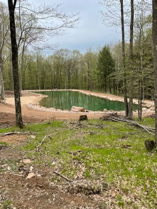 A small, green pond surrounded by dirt and sparse grass in a wooded area with trees and overcast sky.