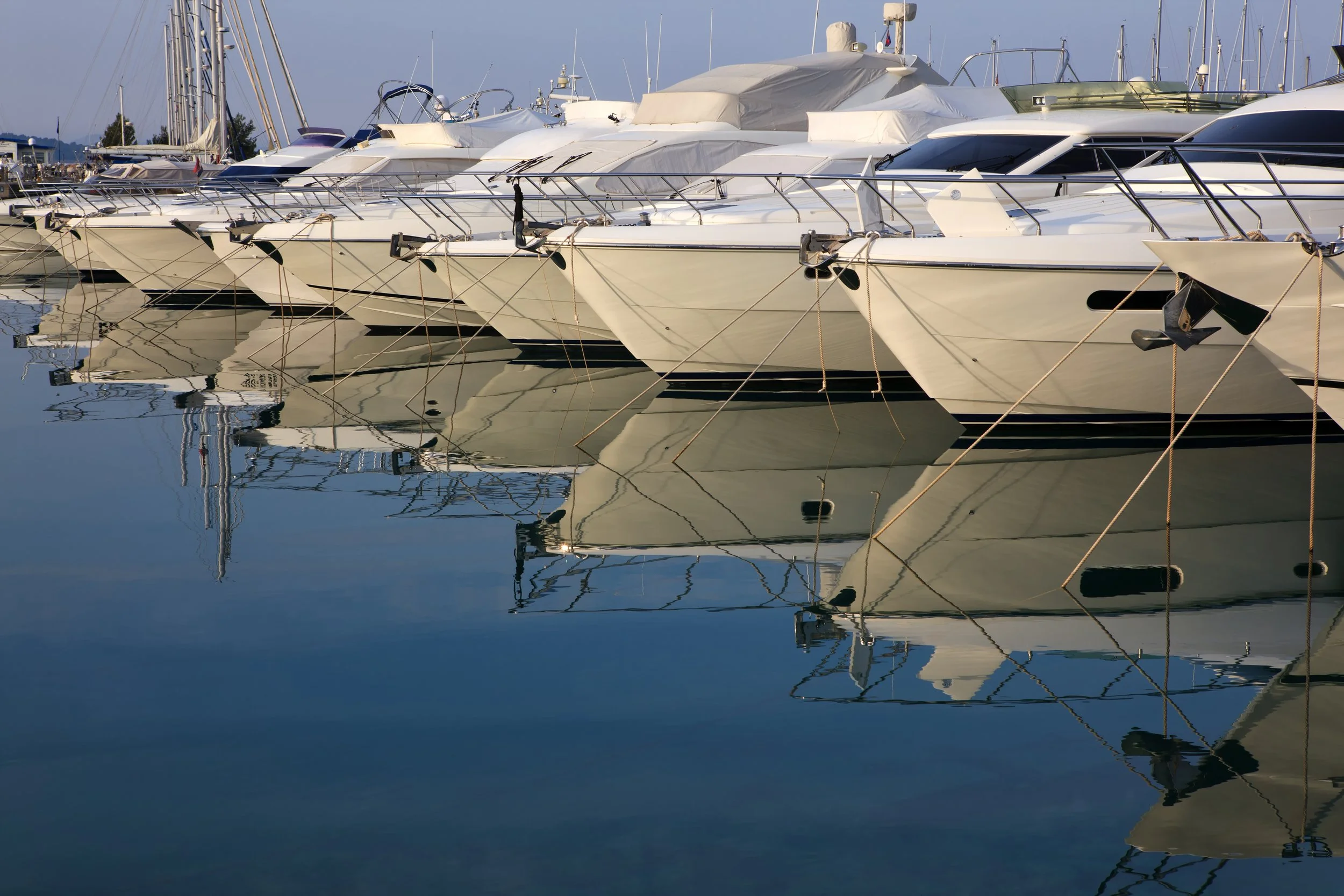 Several white yachts docked at a marina, their reflections visible in calm water.