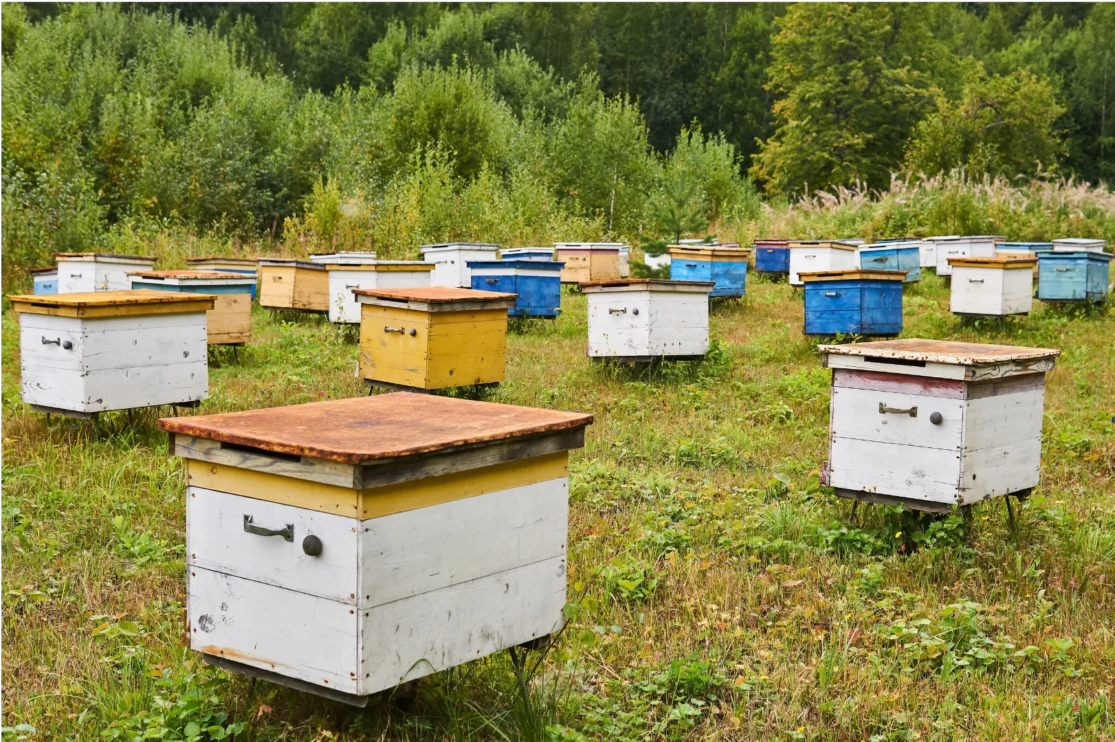 Locally Grown Honey & Goods