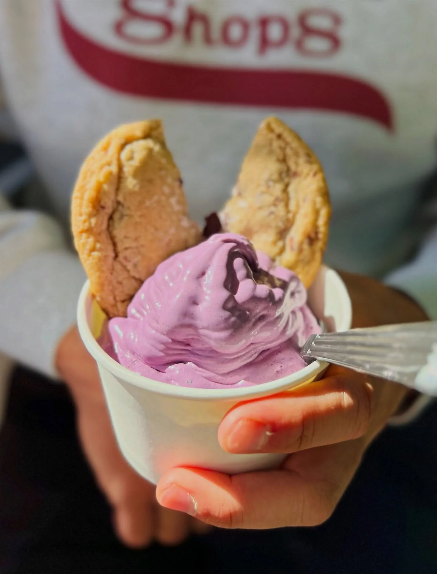 Made-to-order #softserve. Blended with your choice of fresh 🍓 or 🫐&hellip; AND a warm, salted chocolate chip 🍪?!? Just what the doctor ordered 😮&zwj;💨🤌 (please don&rsquo;t verify this information with a real doctor lol 🤪) 🏎️💨