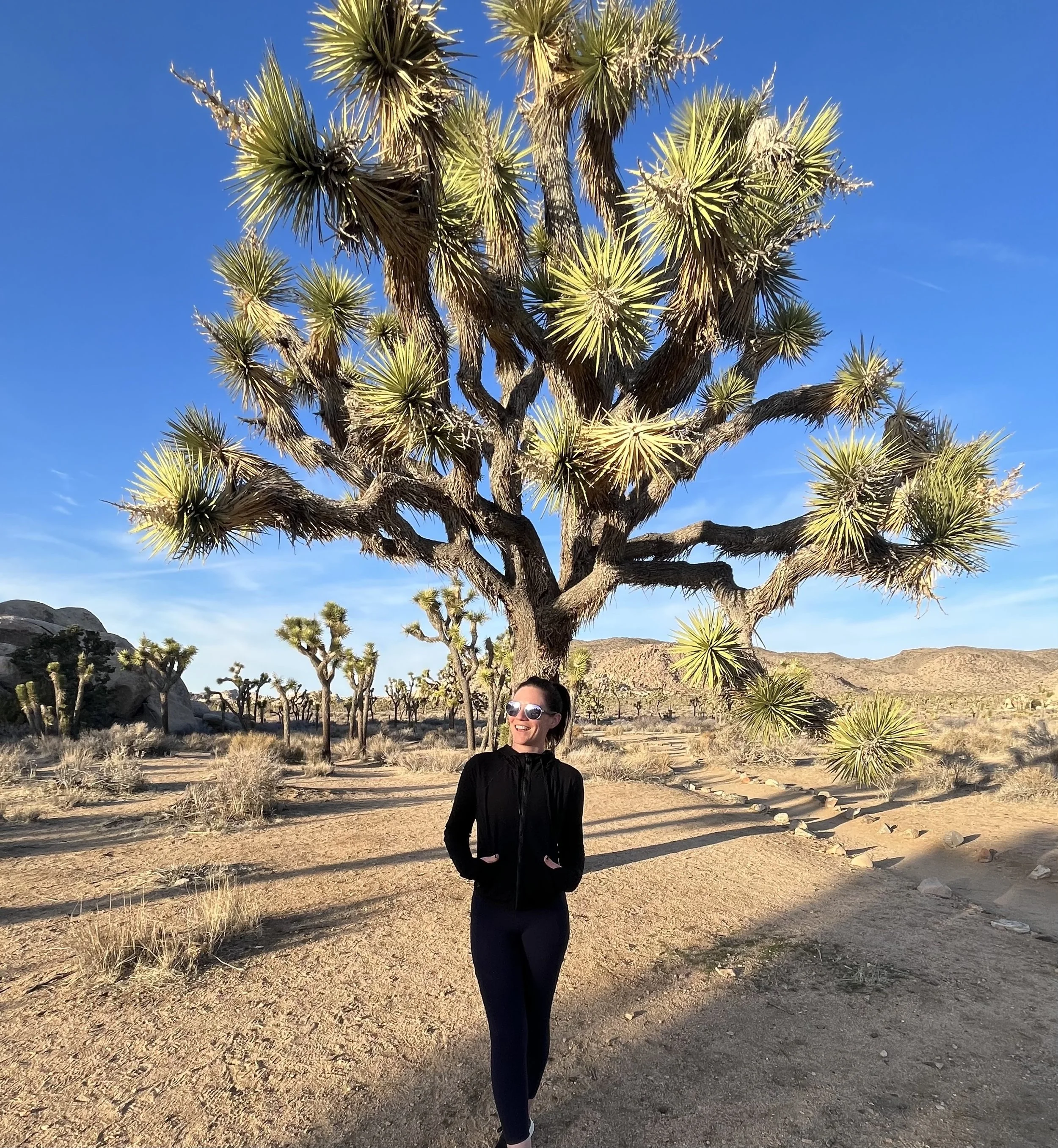 A woman in front of a joshua tree