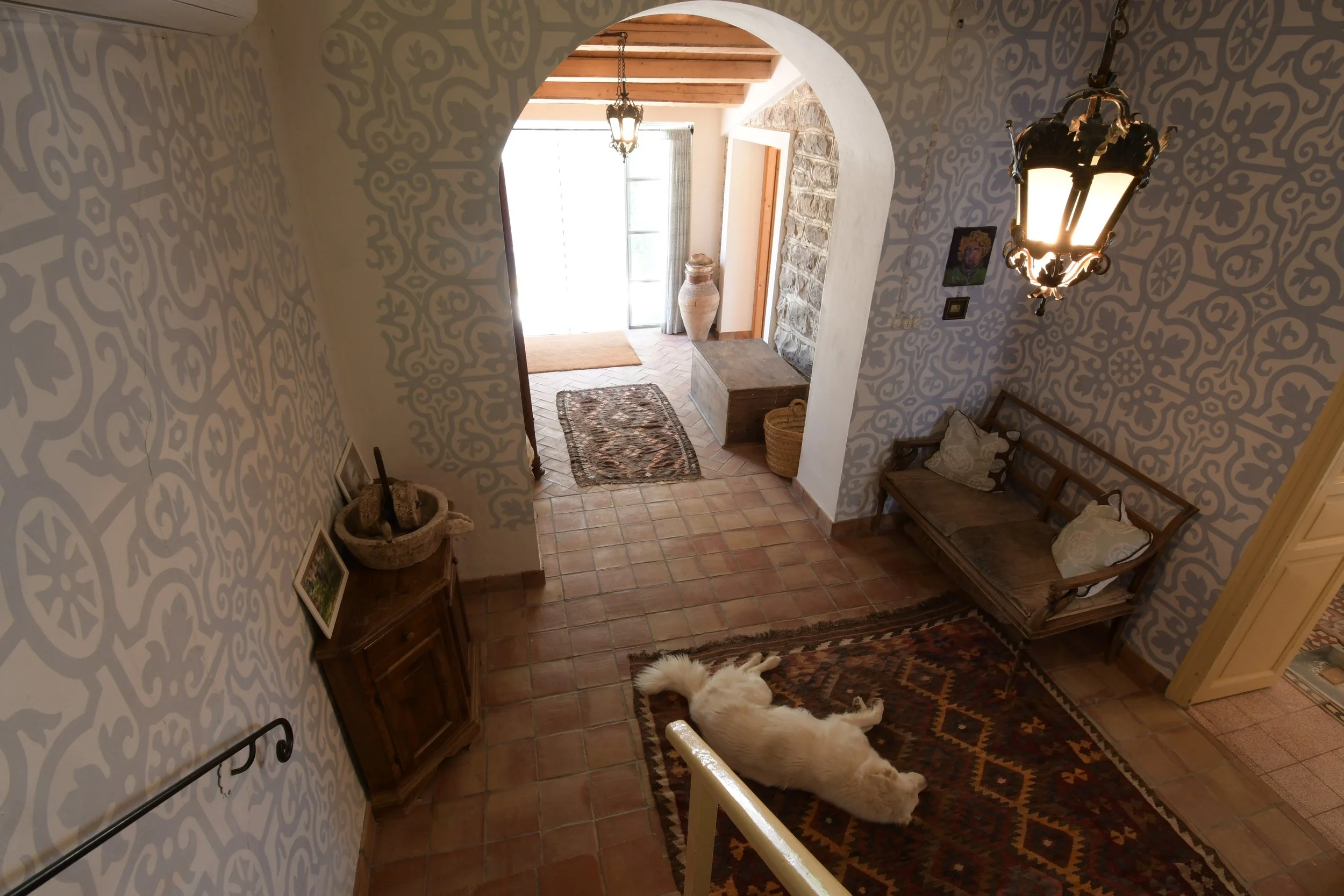 View of a cozy entryway with decorative wall patterns, a hanging light fixture, a small bench with pillows, a large vase, and a dog lying on a rug.
