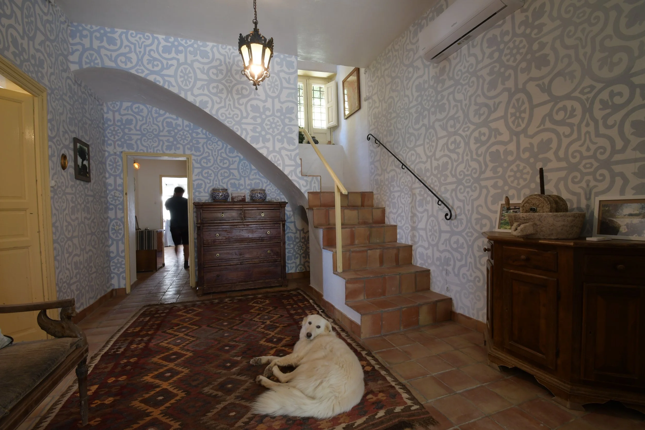 The interior of a house with patterned wallpaper, a chandelier, and stairs. A white dog is lying on a rug on the tiled floor, facing the camera, with a person visible through a doorway in the background.