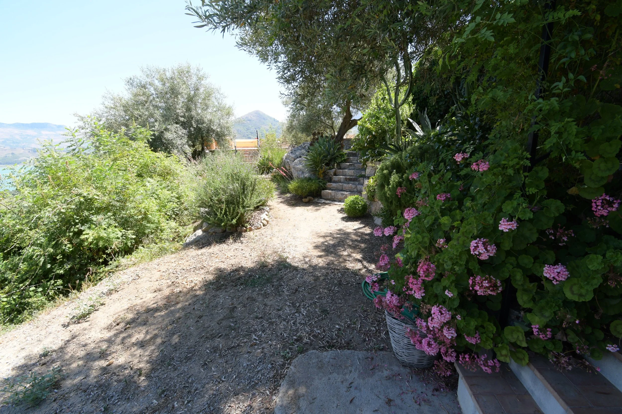 A garden path with steps leading up to a higher level, surrounded by lush green trees and shrubs. Pink flowers are in a basket on the right side, and there is a mountain in the background under a clear, sunny sky.