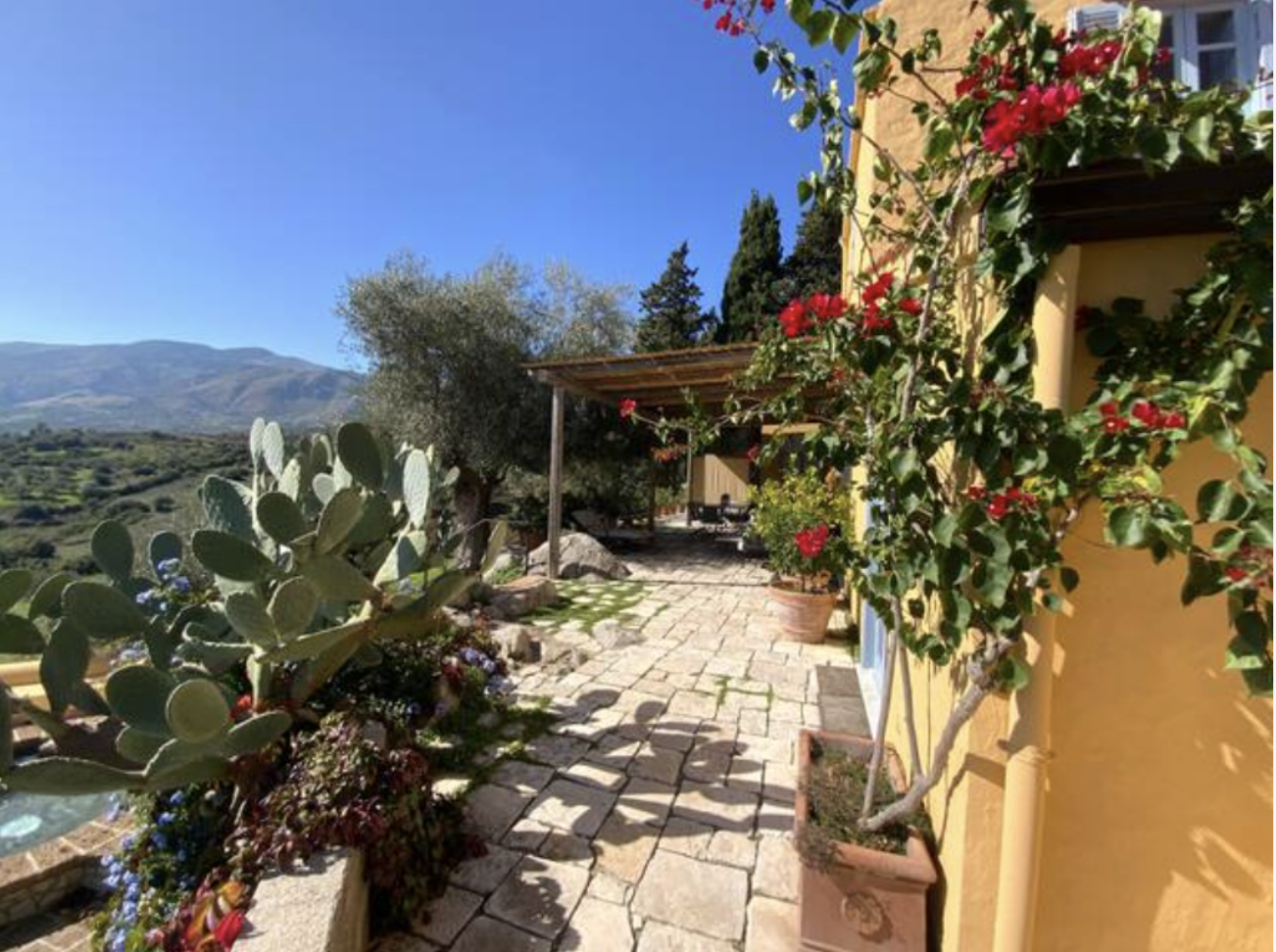 A sunny courtyard with potted plants, cacti, flowering bushes, and a stone pathway leading to a covered patio with outdoor furniture, overlooking rolling hills and mountains.