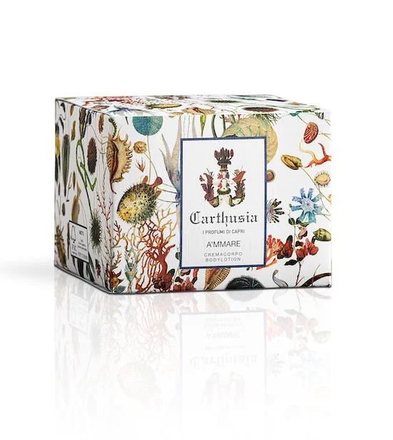 body_cream_ammare_box_c02ae76f-d932-4ff0-bad3-6ace6a033ff0_1024x.jpg