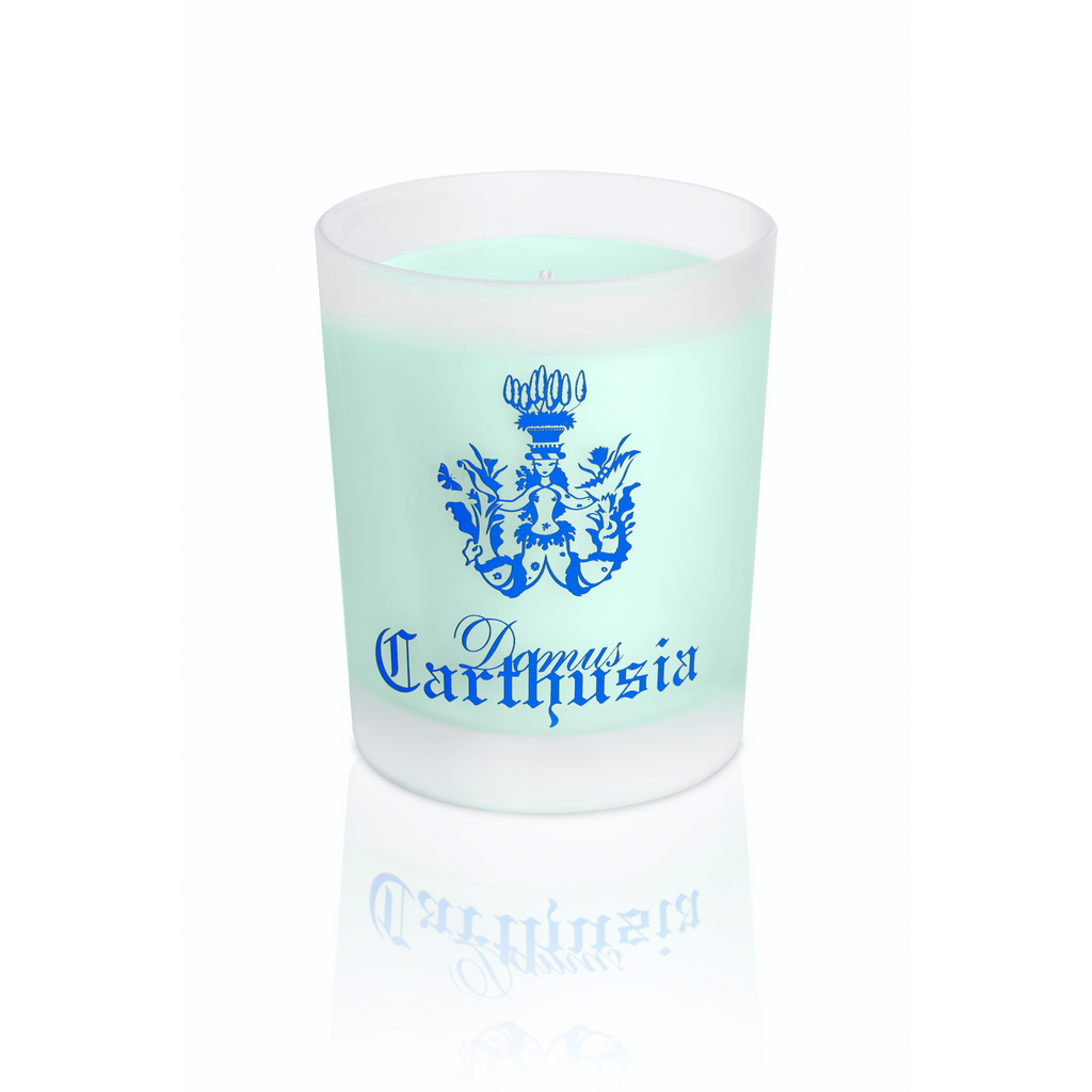 via_camerelle_candle_190g_1024x.png