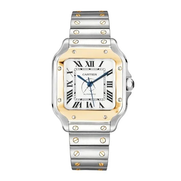 cartier-santos-de-cariter-w2sa0009-001-1.jpg