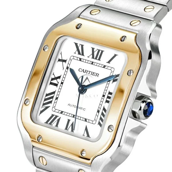 cartier-santos-de-cariter-w2sa0009-001-2.jpg