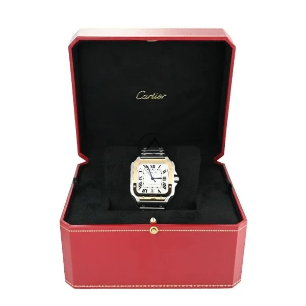 cartier-santos-de-cariter-w2sa0009-001-10.jpg