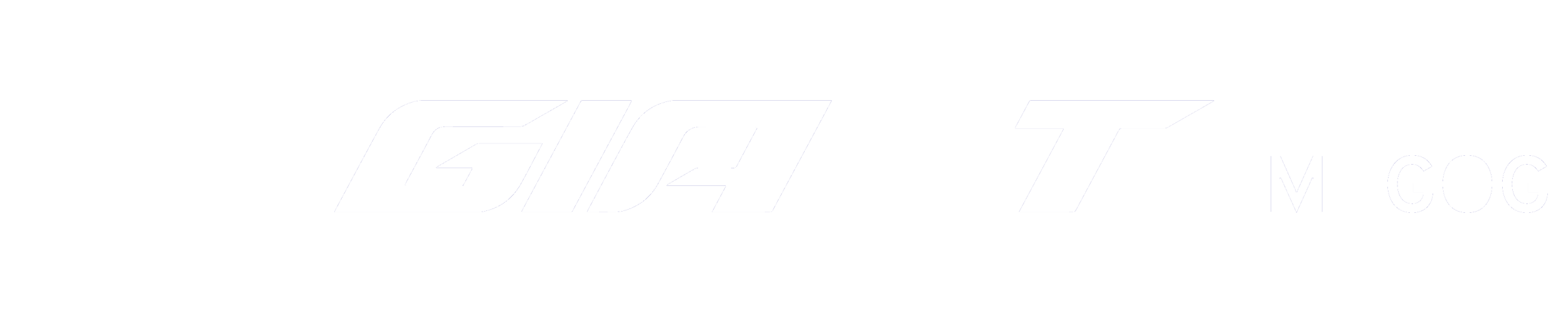 The VEA ProT logo with a stylized V emblem on the left, the word 'PROT' in bold uppercase letters, and 'MAGOG' in smaller font on the right.