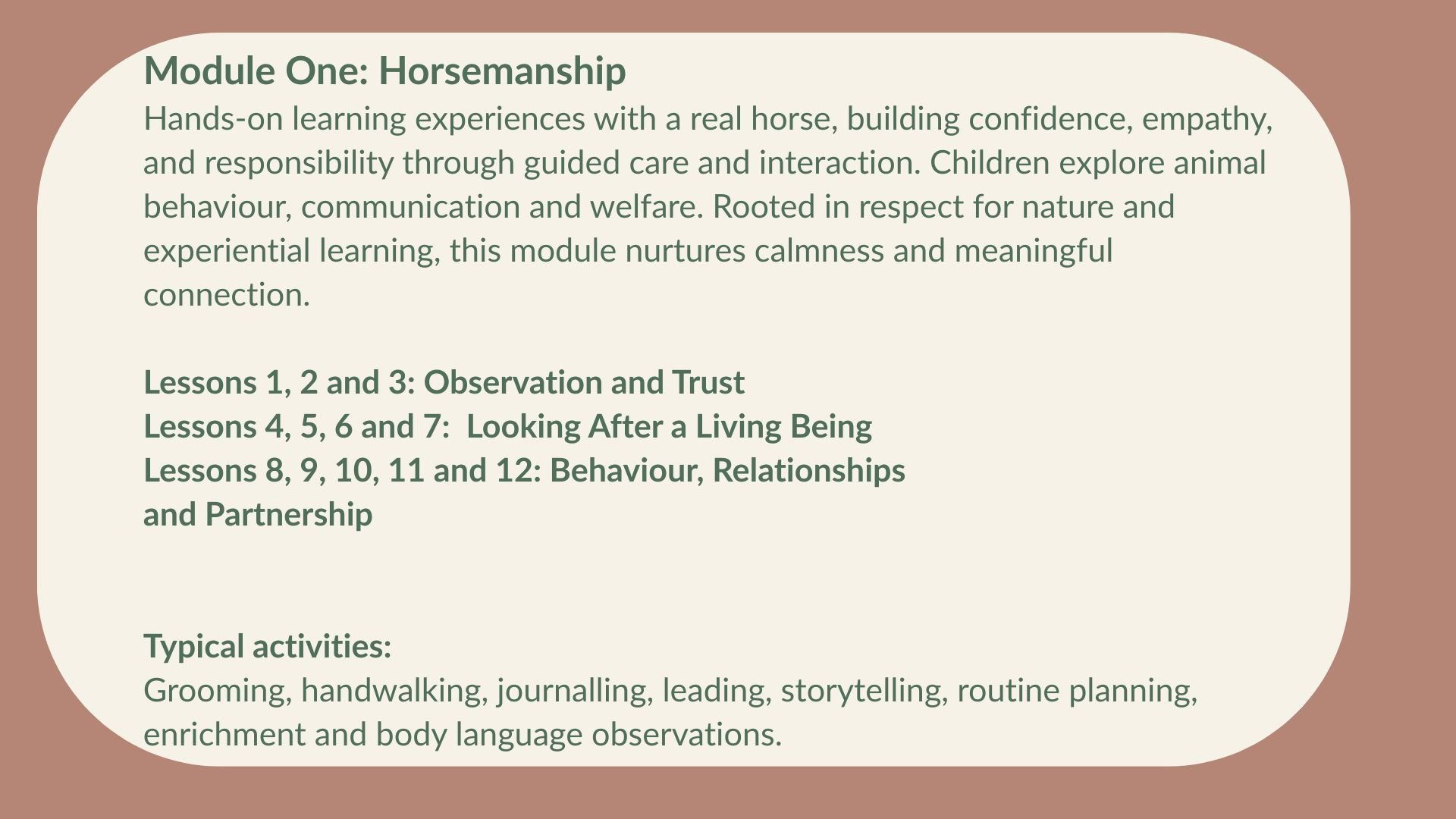 Module one overview on horsemanship, including lessons on observation, trust, behavior, and relationships with a real horse, and typical activities like grooming and leading.