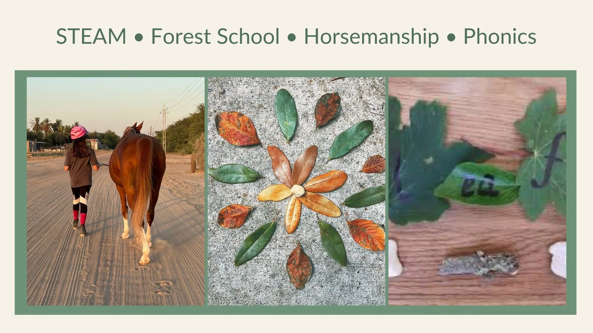 Collage of three images: home school modules for holistic, natural experiences tailored to children's interests.