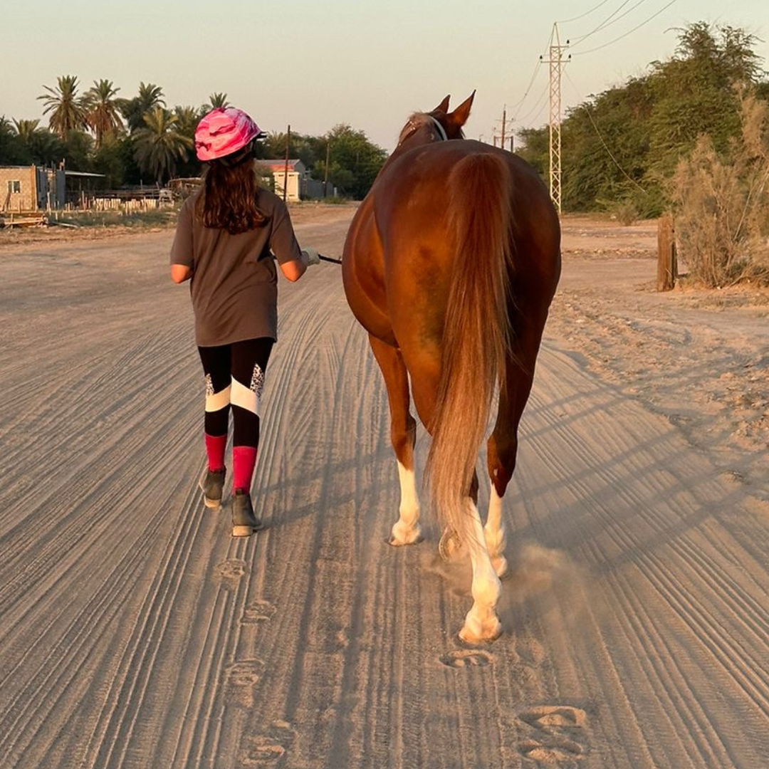 Homeschool horsemanship module where children interact with horses and learn skills and expertise.
