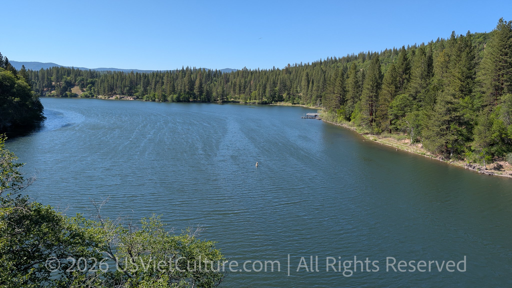 A lone lake marker rises from the calm blue waters of Lake Britton beneath the forests of Northern California on a clear midday afternoon.