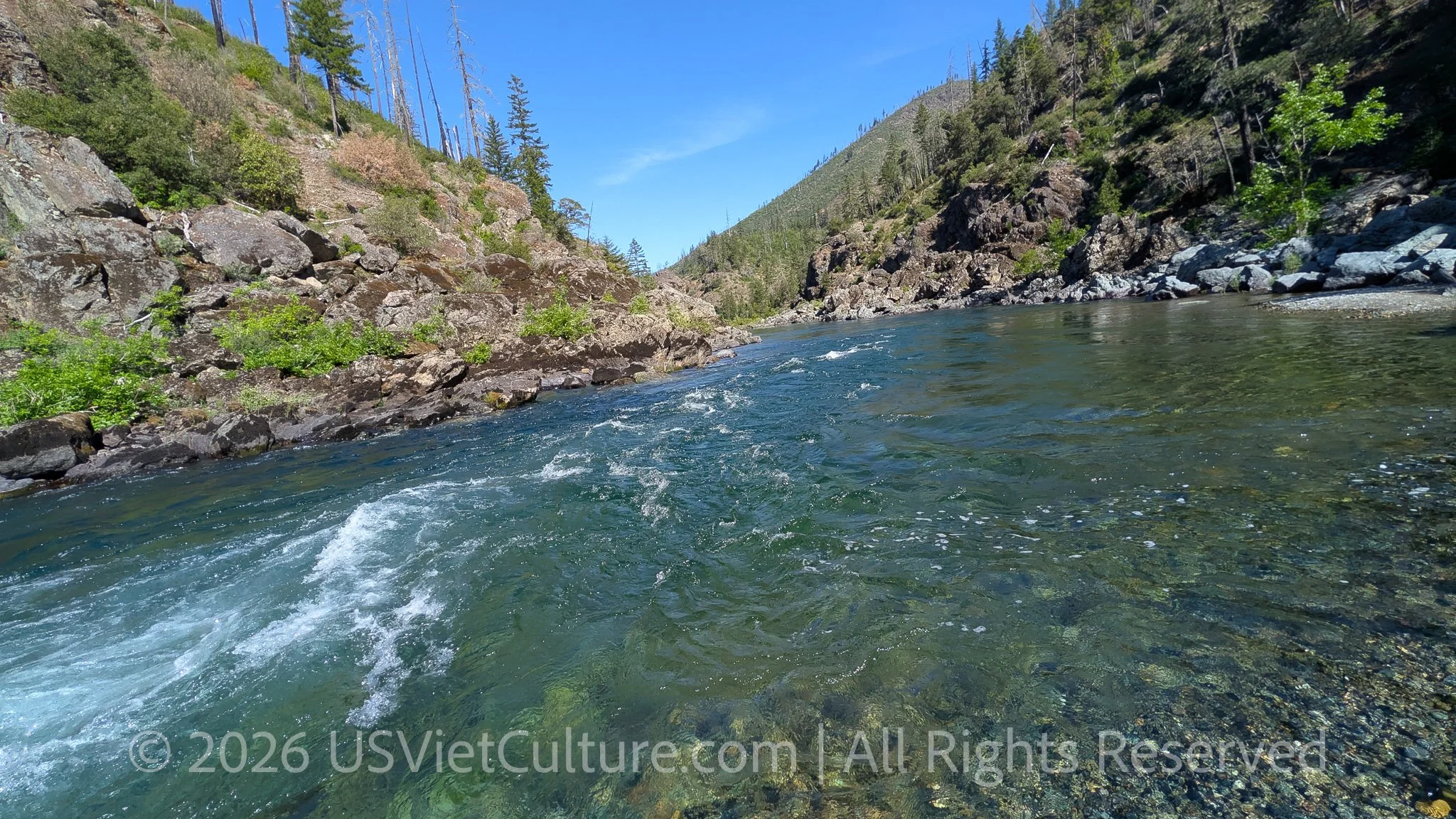 Early morning light reflects across a clear mountain river as fast-moving turquoise water transitions into a calmer downstream flow between rocky canyon walls and pine-covered hills.